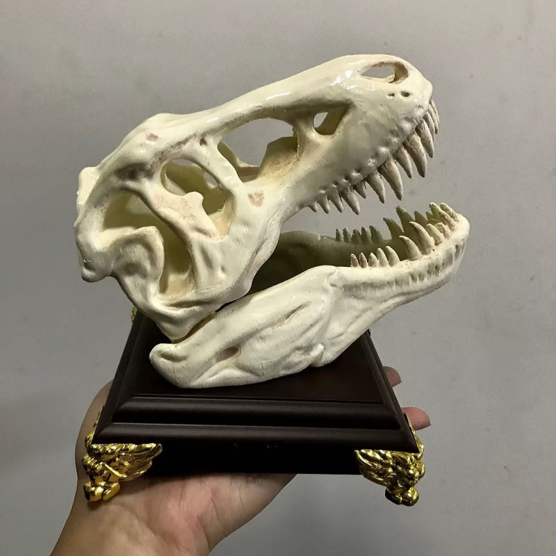 3D Printing Enthusiast - 3D Printed Tyrannosaurus Rex Skull Model